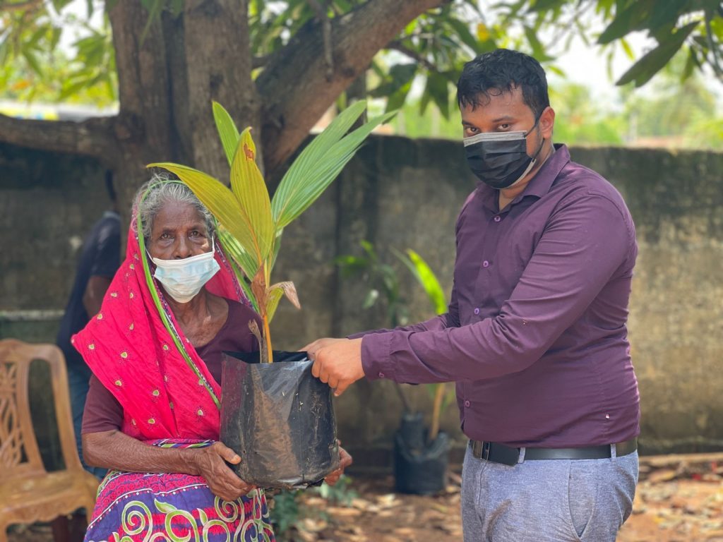 A volunteer handing a young coconut sapling to an elderly woman